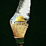 Nancy Nasser - @nancy.nasser.3150 - Instagram