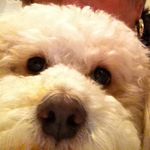 Nancy Nation-Stanton - @nancynationstanton - Instagram