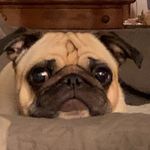 Nancy Nations - @nanynations - Instagram