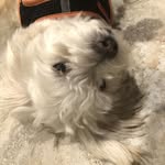 Nancy Nell - @nancynell316 - Instagram