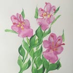 Nancy Nesbit - @nancykate47 - Instagram