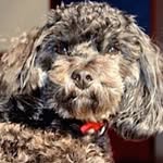 Nancy Styles Nesbitt - @nancy.s.nesbitt - Instagram