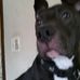 Nancy Nesbitt - Facebook
