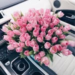 Nancy Netty - @nancynetty - Instagram