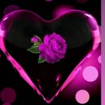 Nancy J Neubauer - @nannaof5_ - Instagram