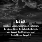 Nancy Langhorst - @nancy.neubauer - Instagram