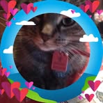 Nancy Neubauer - Facebook