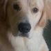 Nancy Nevin - Facebook