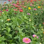 Nancy Newbold - @nntraveler - Instagram