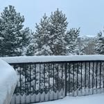 Nancy Newby - @nancynewby60 - Instagram