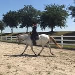 Nancy Newby - @nannewby1234 - Instagram