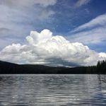 Nancy Newhouse - @nuhaus20 - Instagram