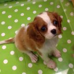 Nancy Newhouse - @nancat1 - Instagram