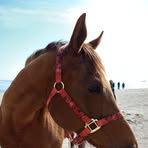 Nancy Newkirk - Facebook