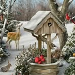 Nancy Newkirk - Facebook