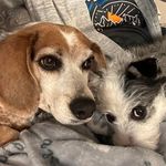 Nancy Morris Newland - @newland3925 - Instagram