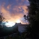 Nancy Newland - @newland.nancy - Instagram