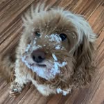 Nancy Nickles - @nancynickles831 - Instagram