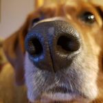 Nancy Nieman - @nancyn65 - Instagram