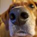 Nancy Nieman - Facebook