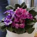 Nancy Nissen - Facebook