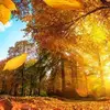 Nancy Noske - @nancy.noske - TikTok