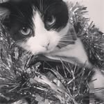 Nancy (Noo) - @nancy_noo_naa - Instagram