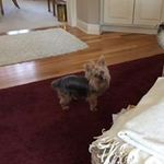 Nancy Norvell Chappell - @nancynorvellchappell - Instagram