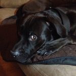 Nancy Rae Norvell - @nancyraenorvell - Instagram