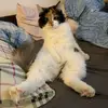 nancynova_22 - @nancynova_22 - TikTok