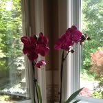 Nancy Nowell - @nancy_nowell - Instagram