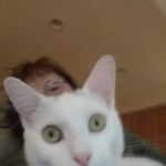 Nancy Nowicki - @nancy_.nowicki - Instagram