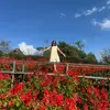 Nancy Nute - @nancy.nute0 - TikTok