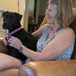 Nancy Nyberg O'Brien - @tibmagirl - Instagram