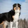 Nancy Nyle - @nancy.nyle - TikTok
