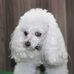 Nancy Oberle - Facebook