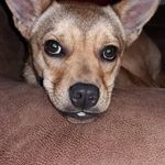 Nancy O'Connor - @nancy.oconnor.9 - Instagram