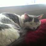 nancy oconnor - @oconnor1510 - Instagram