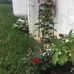Nancy Odle - Facebook