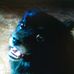 Nancy Offutt - Facebook