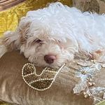Nancy Ogden - @ogden_nancy - Instagram