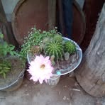 Nancy Olivarez - Facebook