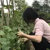 nancy oliver - @nancy.oliver12 - TikTok