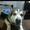 Nancy Olivier - @nancy.olivier7 - TikTok