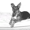 Nancy Olivier - @nancy.olivier3 - TikTok