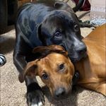 Nancy Opel - @nsopel44 - Instagram