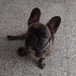 Nancy oquendo - @oquendo9653 - Instagram