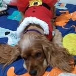 Nancy Orbea - @nancyorbea - Instagram