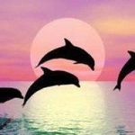 Nancy Orsi - @orsinancy - Instagram