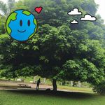 Nancy Orsini - @nancyorsinihotmail - Instagram
